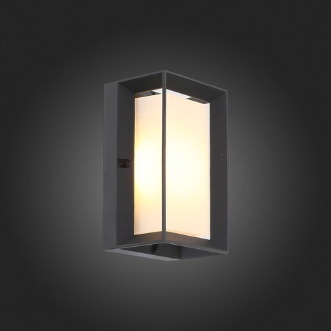 Светильник уличный ST Luce Cubista SL077.411.01