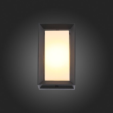 Светильник уличный ST Luce Cubista SL077.411.01