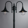 Уличный светильник Arte Lamp Malaga A1086PA-2BG