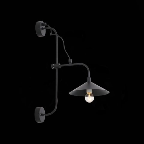 Светильник настенный ST Luce Sсarno SL265.401.01