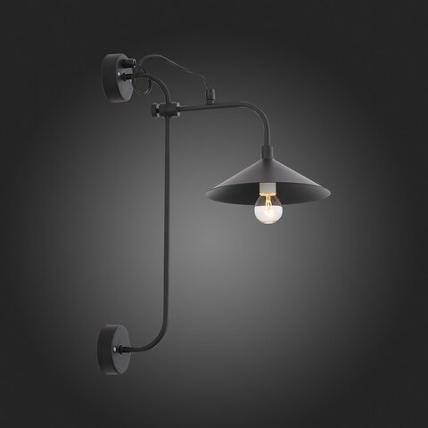 Светильник настенный ST Luce Sсarno SL265.401.01