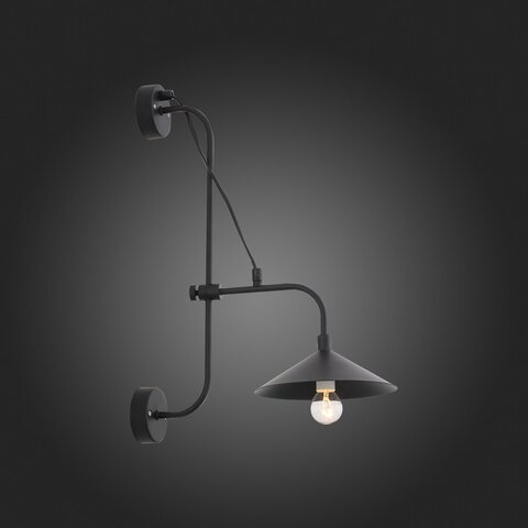 Светильник настенный ST Luce Sсarno SL265.401.01