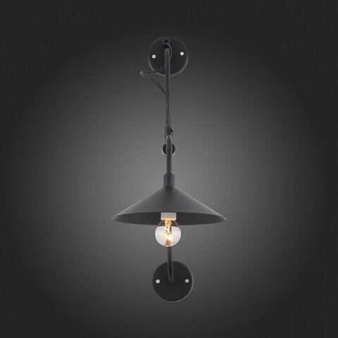 Светильник настенный ST Luce Sсarno SL265.401.01