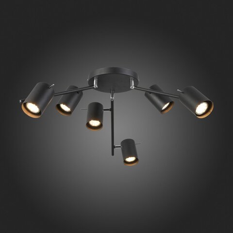 Светильник потолочный ST Luce Fanale SL597.402.06