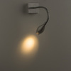 Светильник настенный Arte Lamp Scorcio A7003AP-1SS