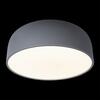 Потолочный светильник Loft It Axel 10201/480 Grey