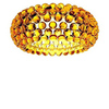 Люстра Caboche Ceiling Amber D50