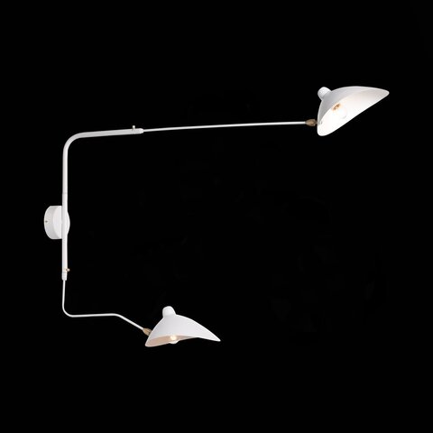 Светильник настенный ST Luce Spruzzo SL305.501.02