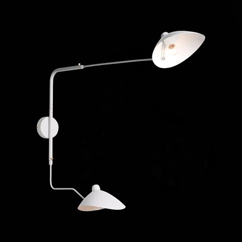 Светильник настенный ST Luce Spruzzo SL305.501.02