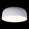 Потолочный светильник Loft It Axel 10201/480 White
