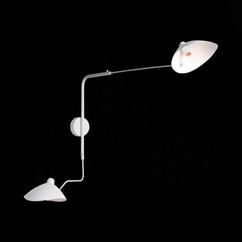 Светильник настенный ST Luce Spruzzo SL305.501.02