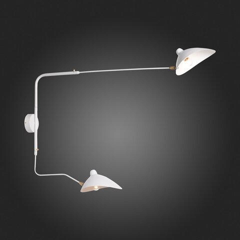 Светильник настенный ST Luce Spruzzo SL305.501.02