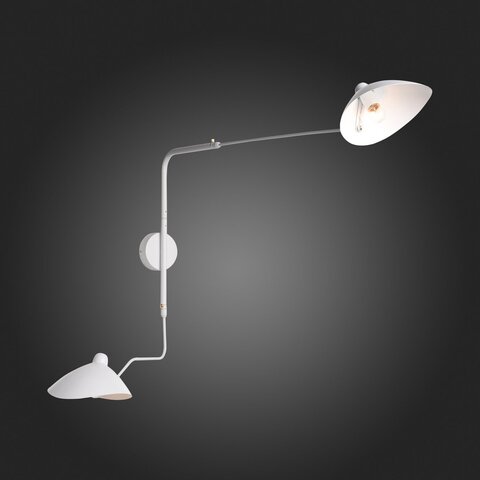 Светильник настенный ST Luce Spruzzo SL305.501.02