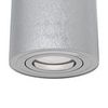 Потолочный светильник Technical Alfa C016CL-01S