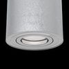 Потолочный светильник Technical Alfa C016CL-01S