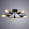 Люстра Arte Lamp Riverrun A9344PL-5BK