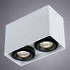 Светильник точечный Arte Lamp Pictor A5655PL-2WH