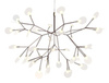 Люстра Heracleum Brown