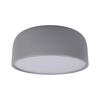 Потолочный светильник Loft It Axel 10201/350 Grey