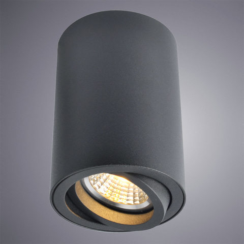 Светильник точечный Arte Lamp Sentry A1560PL-1BK