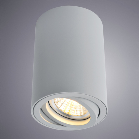 Светильник точечный Arte Lamp Sentry A1560PL-1GY