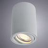 Светильник точечный Arte Lamp Sentry A1560PL-1GY