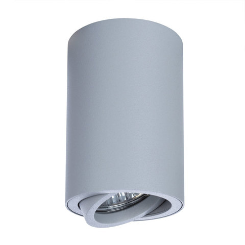 Светильник точечный Arte Lamp Sentry A1560PL-1GY