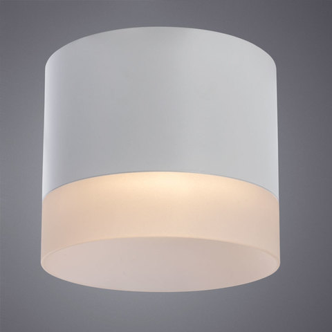 Светильник точечный Arte Lamp Castor A5554PL-1WH