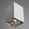 Светильник точечный Arte Lamp Cardani grande A5936PL-1WH