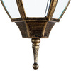 Уличный светильник Arte Lamp Pegasus A3151SO-1BN