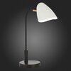 Настольная лампа Evoluce Satta SLE103604-01