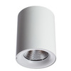 Светильник точечный Arte Lamp Facile A5118PL-1WH