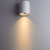 Светильник точечный Arte Lamp Facile A5130PL-1WH