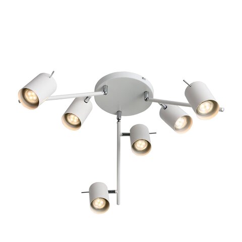 Светильник потолочный ST Luce Fanale SL597.502.06