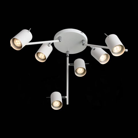 Светильник потолочный ST Luce Fanale SL597.502.06