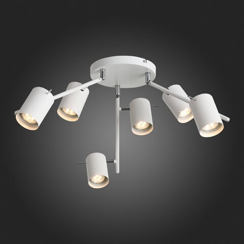 Светильник потолочный ST Luce Fanale SL597.502.06