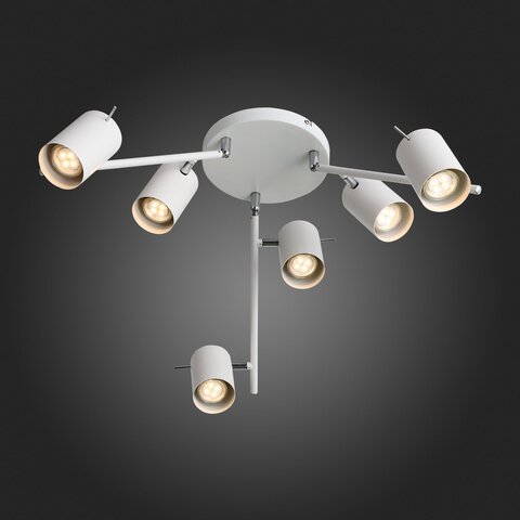 Светильник потолочный ST Luce Fanale SL597.502.06