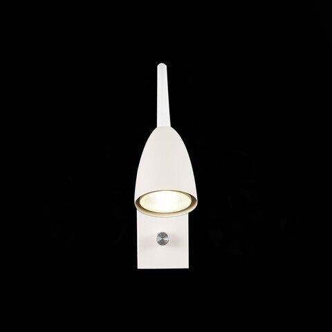 Светильник настенный ST Luce Amio SL1014.501.01