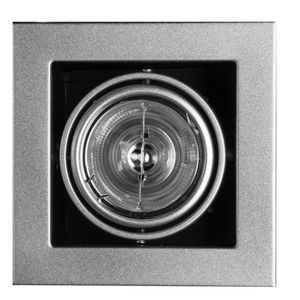Светильник встраиваемый поворотный Arte Lamp Cardani medio A5930PL-1SI